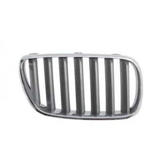 Grille de radiateur avant droit BLIC 6502-07-00939960P