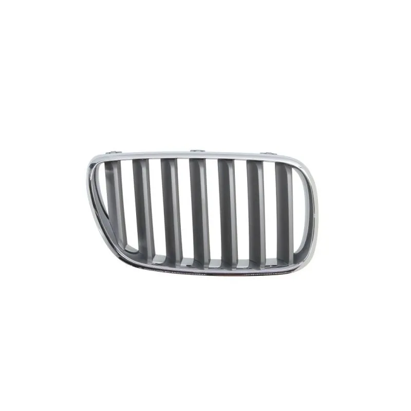 Grille de radiateur avant droit BLIC 6502-07-00939960P