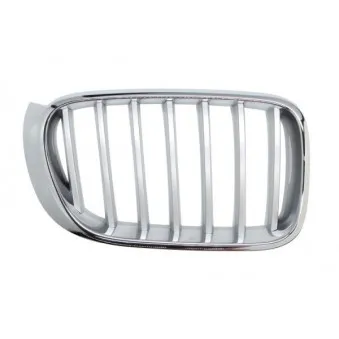 Grille de radiateur avant droit BLIC 6502-07-00939966P