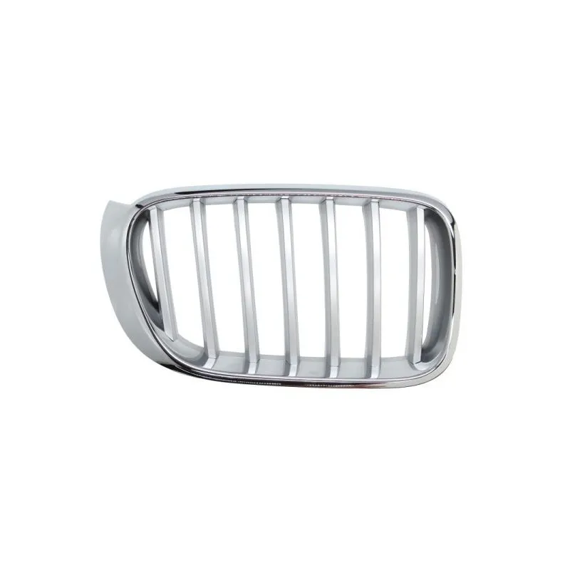Grille de radiateur avant droit BLIC 6502-07-00939966P
