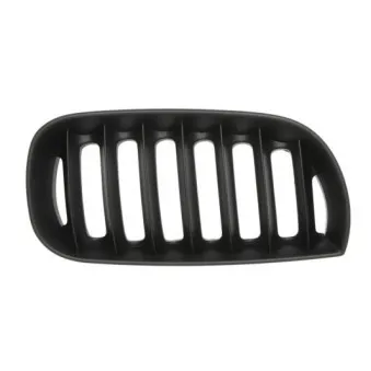 Grille de radiateur BLIC 6502-07-0093996P