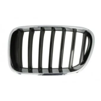 Grille de radiateur avant gauche BLIC 6502-07-00939970P
