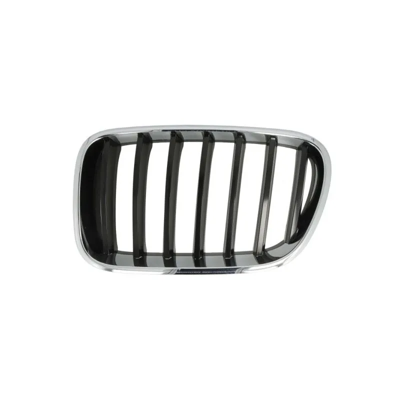 Grille de radiateur avant gauche BLIC 6502-07-00939970P