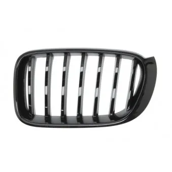 Grille de radiateur avant gauche BLIC 6502-07-00939977P