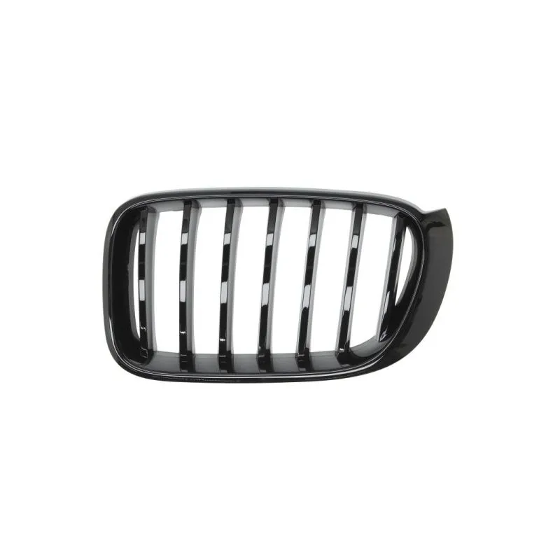 Grille de radiateur avant gauche BLIC 6502-07-00939977P