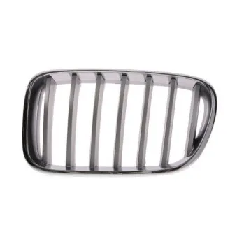 Grille de radiateur BLIC 6502-07-0093997P