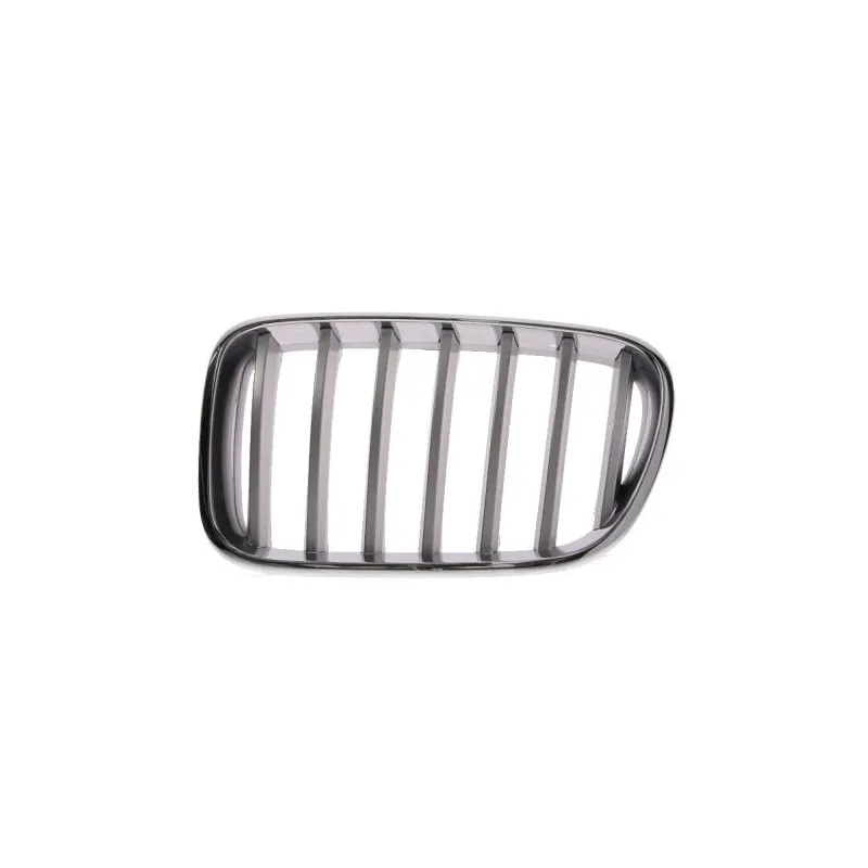 Grille de radiateur BLIC 6502-07-0093997P