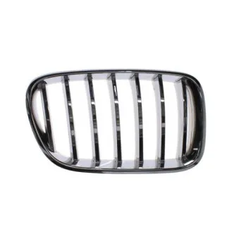 Grille de radiateur BLIC 6502-07-0093997PP