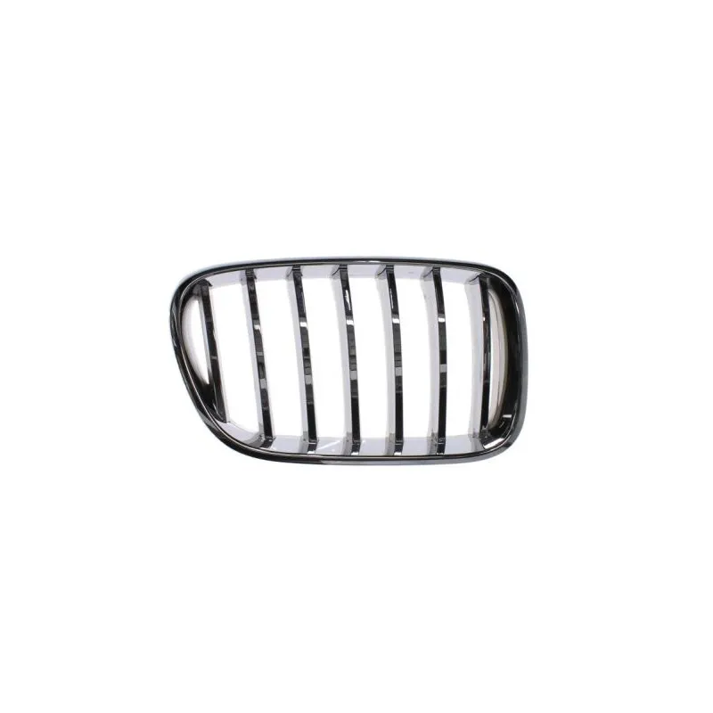 Grille de radiateur BLIC 6502-07-0093997PP