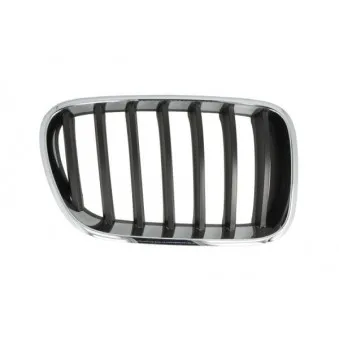 Grille de radiateur avant droit BLIC 6502-07-00939980P