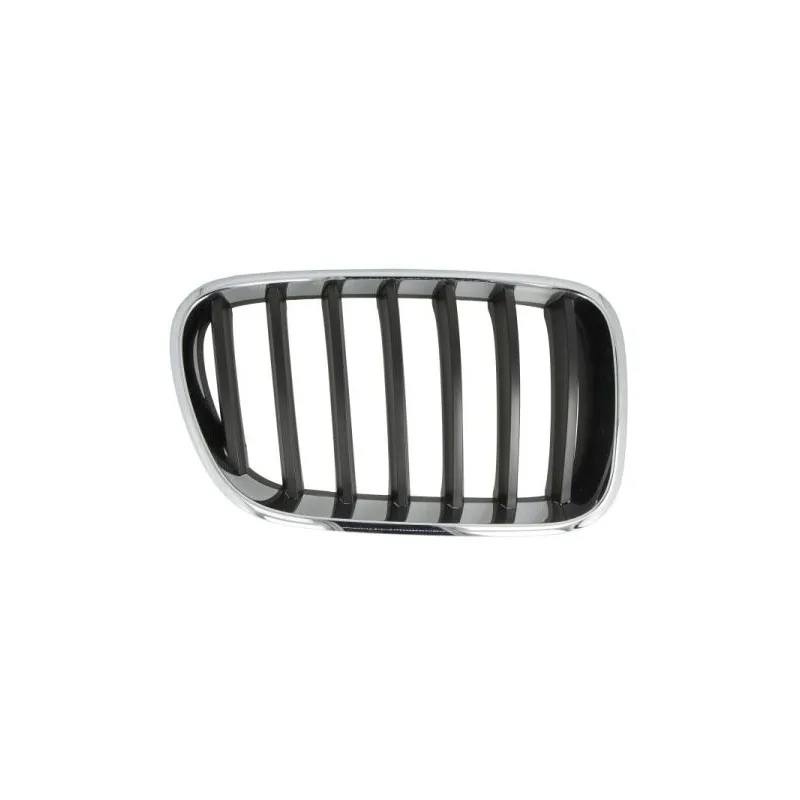 Grille de radiateur avant droit BLIC 6502-07-00939980P