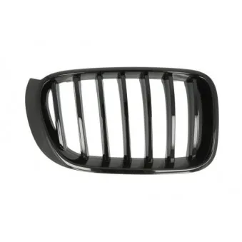 Grille de radiateur avant droit BLIC 6502-07-00939988P