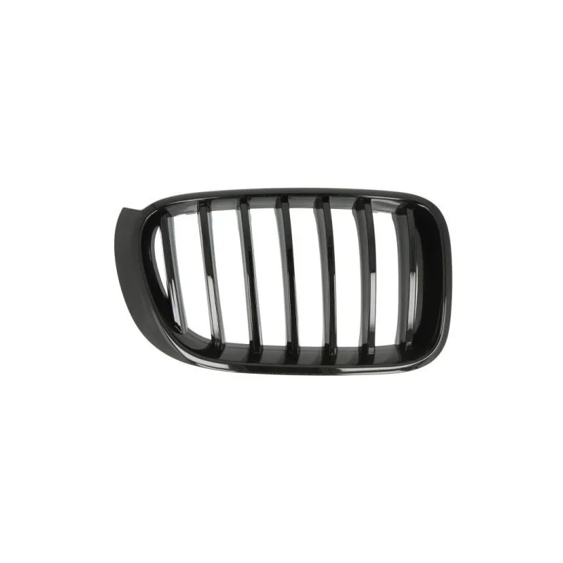 Grille de radiateur avant droit BLIC 6502-07-00939988P