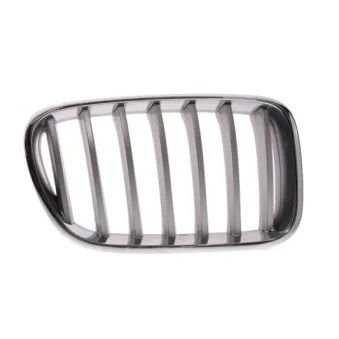 Grille de radiateur BLIC 6502-07-0093998P