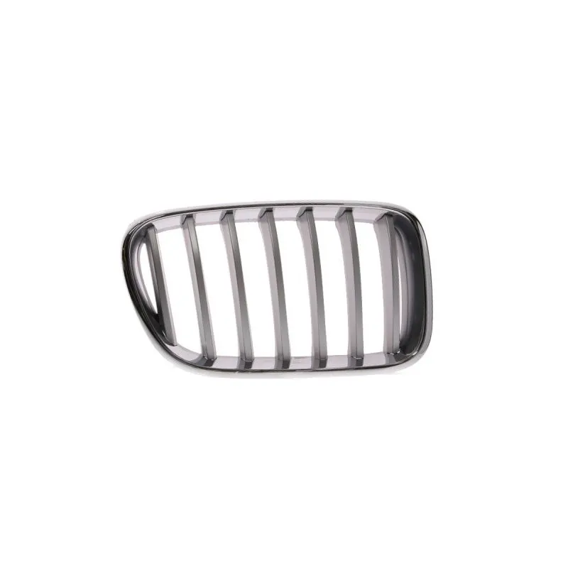Grille de radiateur BLIC 6502-07-0093998P