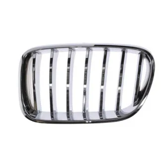 Grille de radiateur BLIC 6502-07-0093998PP