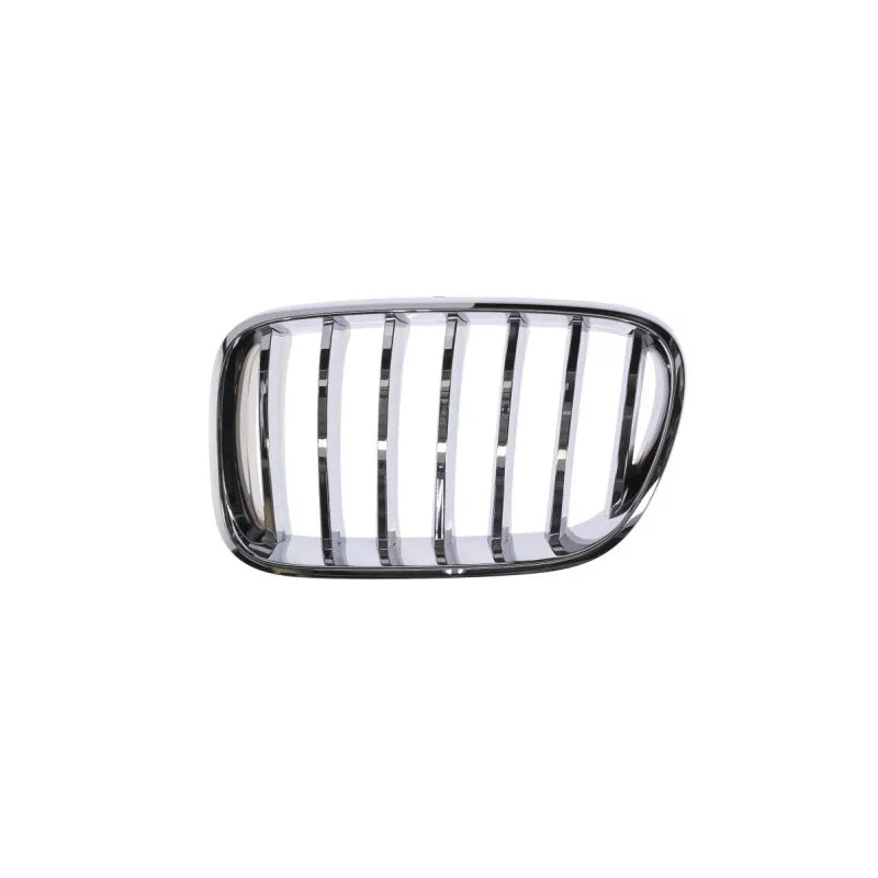 Grille de radiateur BLIC 6502-07-0093998PP