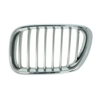 Grille de radiateur avant gauche BLIC 6502-07-0095991P