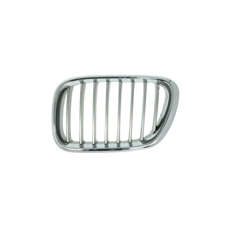 Grille de radiateur avant gauche BLIC 6502-07-0095991P