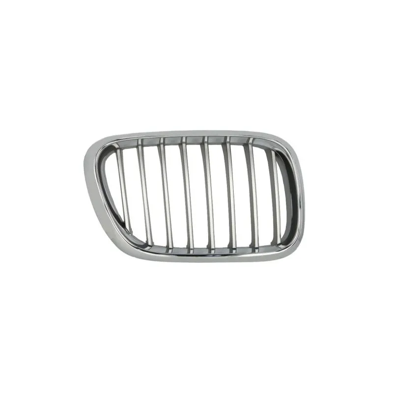 Grille de radiateur avant droit BLIC 6502-07-0095992P