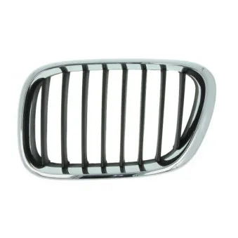 Grille de radiateur BLIC 6502-07-0095993P