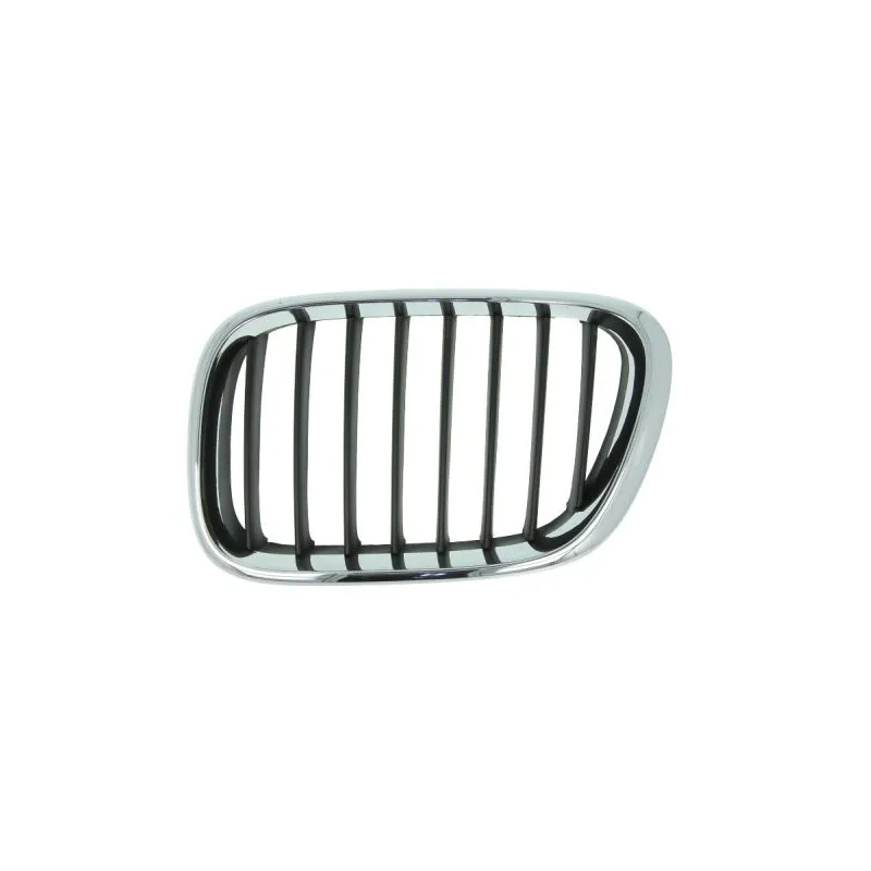 Grille de radiateur BLIC 6502-07-0095993P