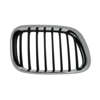 Grille de radiateur BLIC 6502-07-0095994P