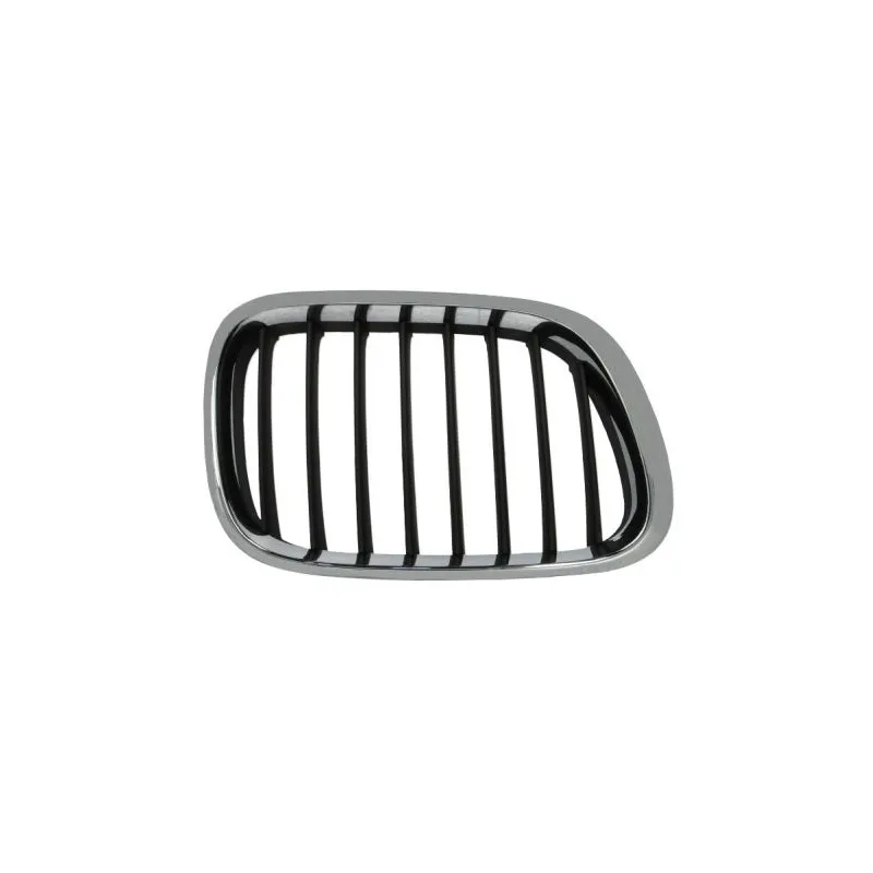 Grille de radiateur BLIC 6502-07-0095994P