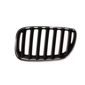 Grille de radiateur BLIC 6502-07-0095995P
