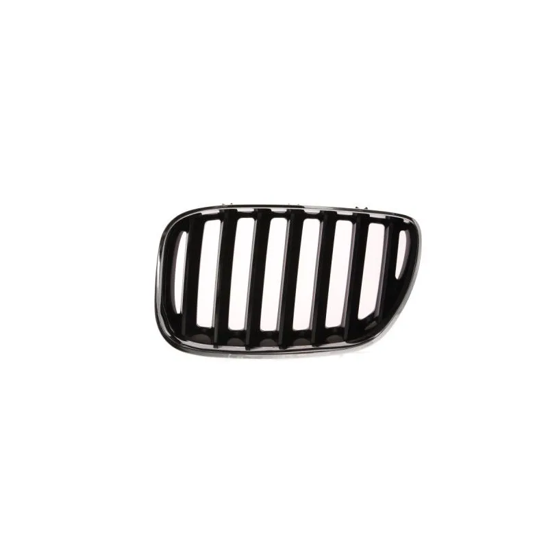 Grille de radiateur BLIC 6502-07-0095995P
