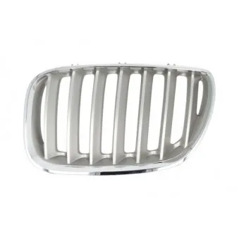 Grille de radiateur avant gauche BLIC 6502-07-0095997P