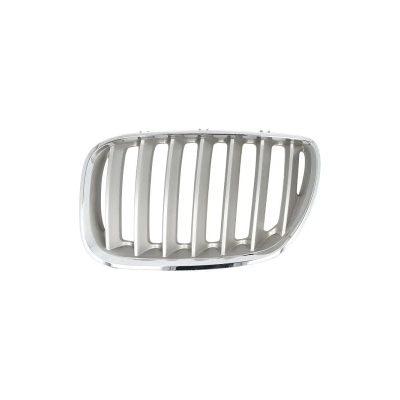 Grille de radiateur avant gauche BLIC 6502-07-0095997P