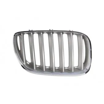 Grille de radiateur avant droit BLIC 6502-07-0095998P
