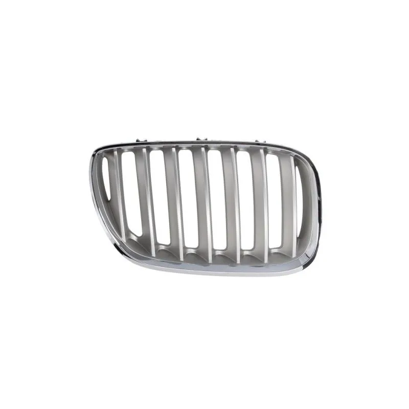 Grille de radiateur avant droit BLIC 6502-07-0095998P
