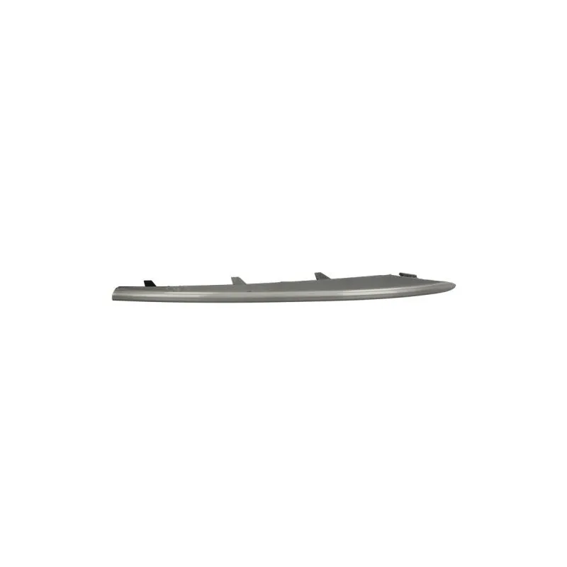 Baguette et bande protectrice, pare-chocs avant gauche BLIC 6502-07-0096921P