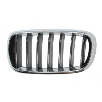 Grille de radiateur avant gauche BLIC 6502-07-00969911P