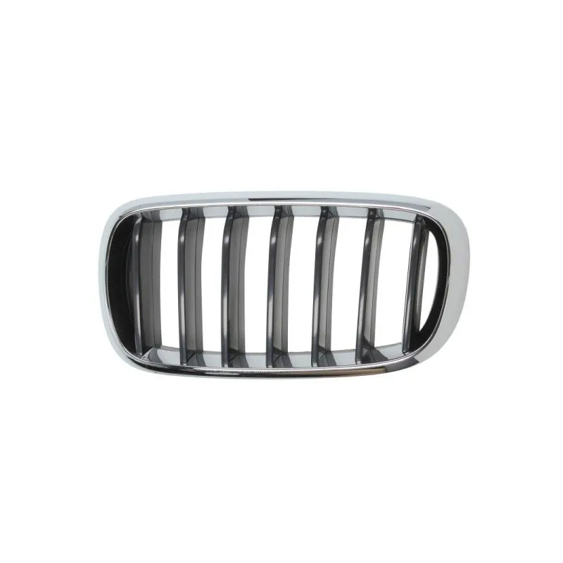 Grille de radiateur avant gauche BLIC 6502-07-00969911P