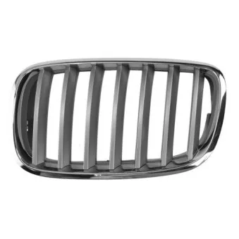 Grille de radiateur BLIC 6502-07-0096991PP