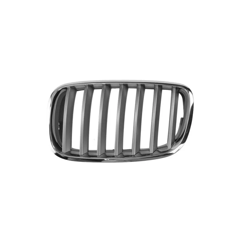 Grille de radiateur BLIC 6502-07-0096991PP
