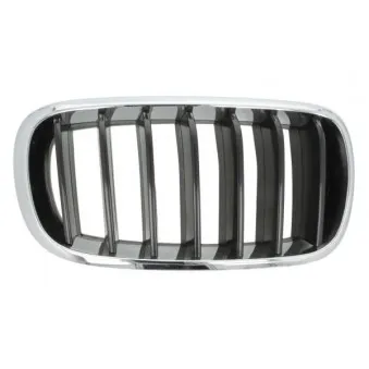 Grille de radiateur avant droit BLIC 6502-07-00969922P