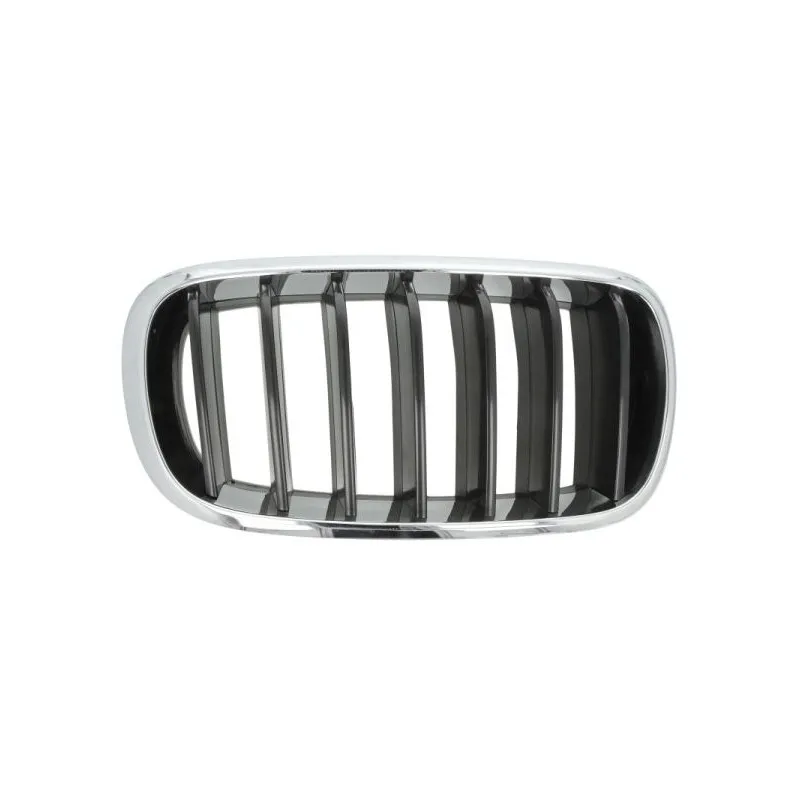 Grille de radiateur avant droit BLIC 6502-07-00969922P