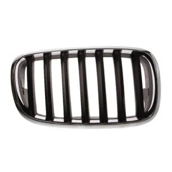 Grille de radiateur BLIC 6502-07-0096992P