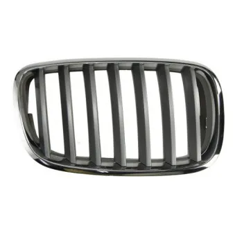Grille de radiateur BLIC 6502-07-0096992PP