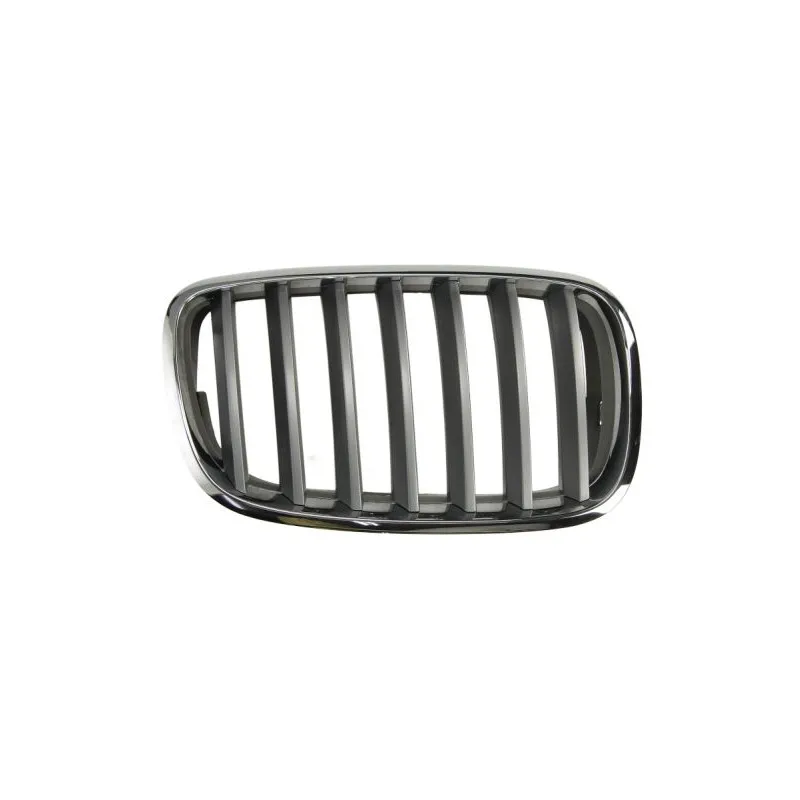 Grille de radiateur BLIC 6502-07-0096992PP