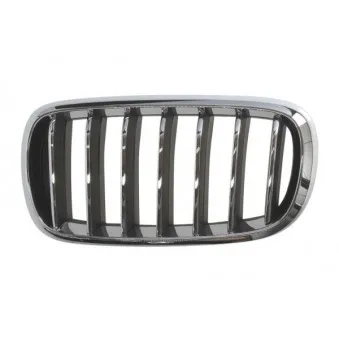 Grille de radiateur avant gauche BLIC 6502-07-00969933P