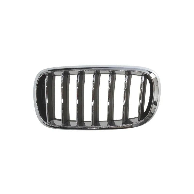 Grille de radiateur avant gauche BLIC 6502-07-00969933P