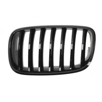 Grille de radiateur BLIC 6502-07-0096993PP