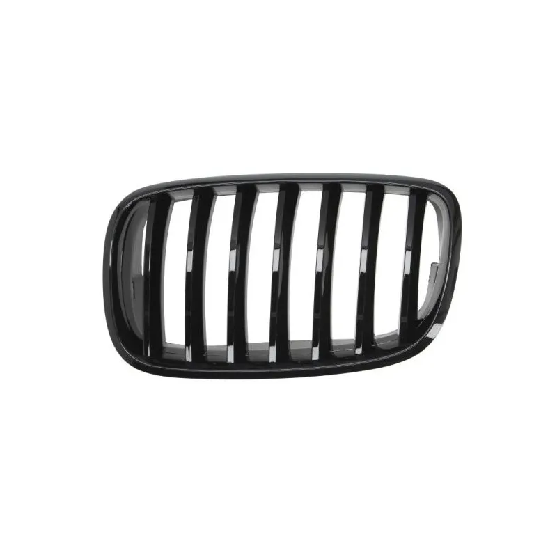 Grille de radiateur BLIC 6502-07-0096993PP