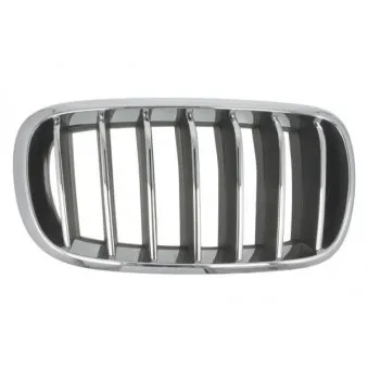 Grille de radiateur avant droit BLIC 6502-07-00969944P