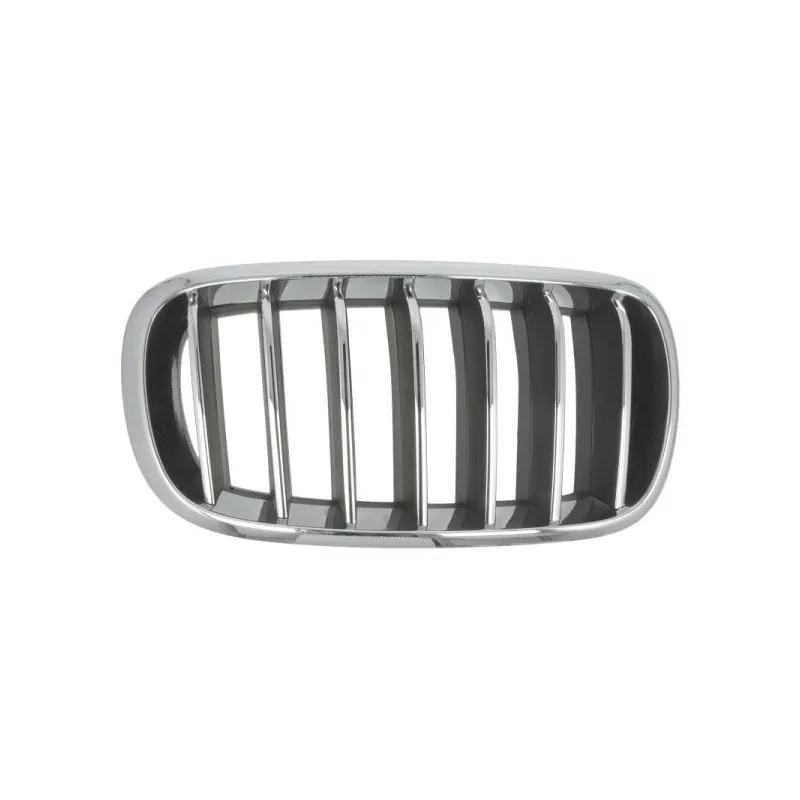 Grille de radiateur avant droit BLIC 6502-07-00969944P